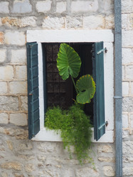 Similar image 21527891