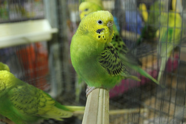 Similar image 21533541