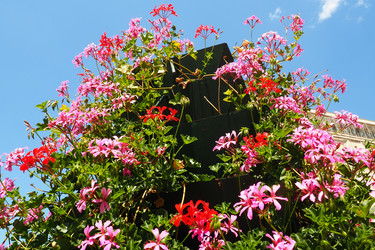 Similar image 21527895