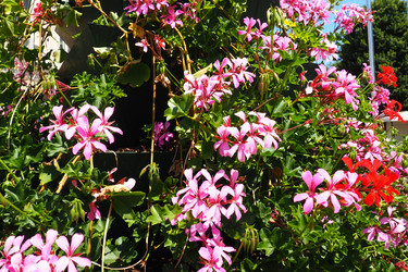 Similar image 21527896