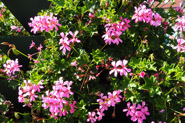 Similar image 21527897