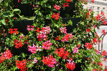 Similar image 21527899