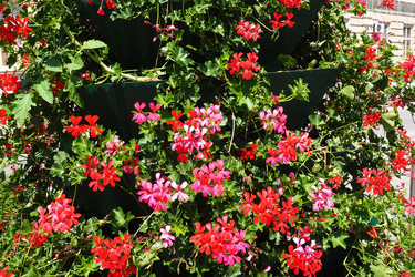 Similar image 21527900