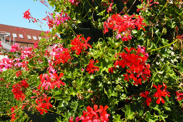 Similar image 21527903