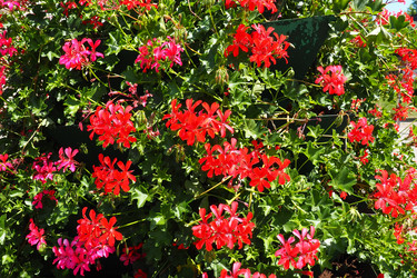 Similar image 21527904