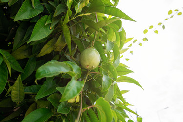 Similar image 21533242