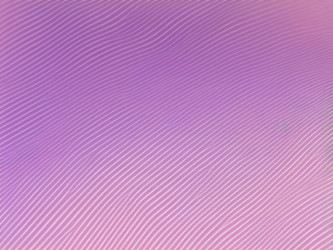 Similar image 21527911