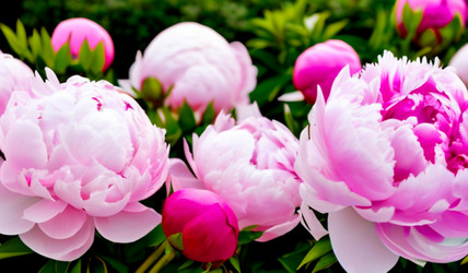 Similar image 21527915