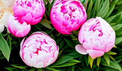 Similar image 21527916