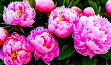 Similar image 21527917