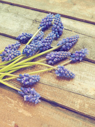 Similar image 21527926