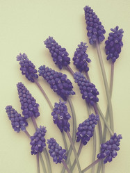 Similar image 21527928