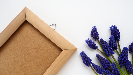 Similar image 21527929