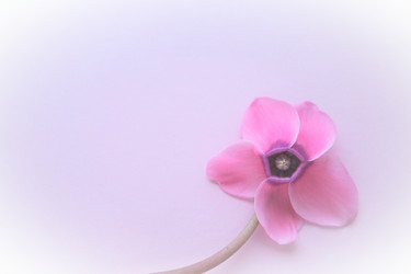 Similar image 21527930