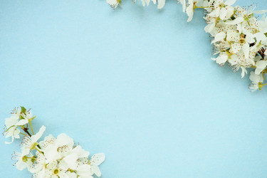 Similar image 21527931