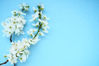 Similar image 21527932