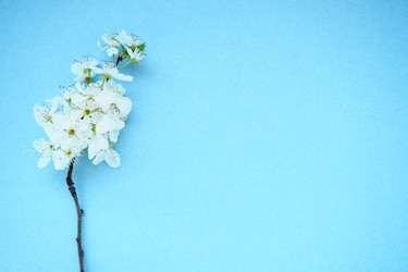 Similar image 21527934