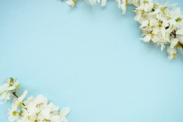 Similar image 21527935