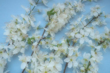 Similar image 21527939