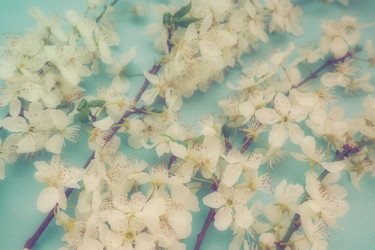 Similar image 21527940