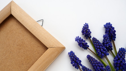 Similar image 21527941