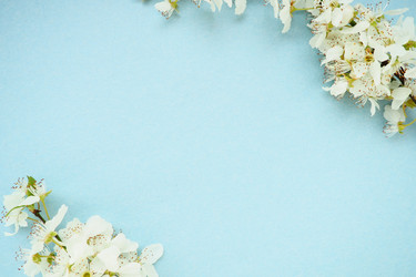 Similar image 21527942