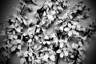 Similar image 21527945