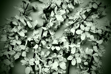 Similar image 21527946