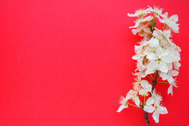 Similar image 21527948