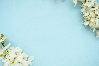 Similar image 21527951