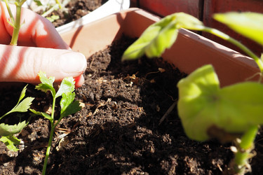 Similar image 21527952