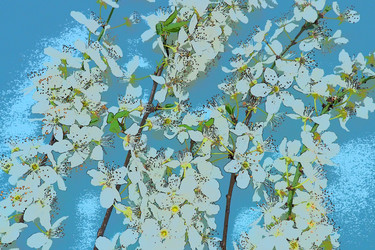 Similar image 21527960