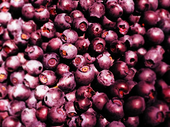 Similar image 21527969