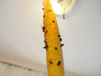 Similar image 21527973