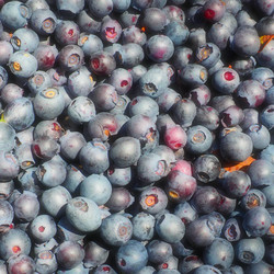 Similar image 21527979