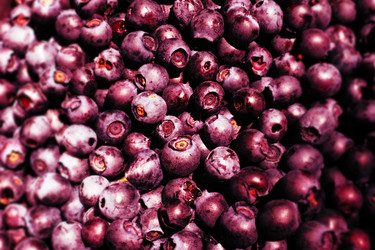 Similar image 21527980