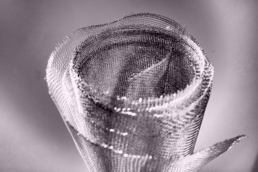 Similar image 21527982