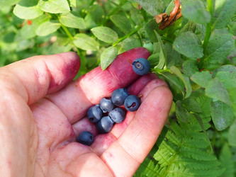 Similar image 21527990