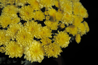 Similar image 21527992