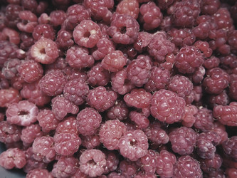 Similar image 21527993