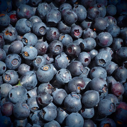 Similar image 21527995