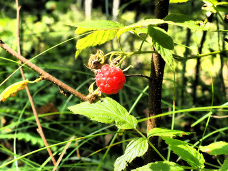 Similar image 21527999