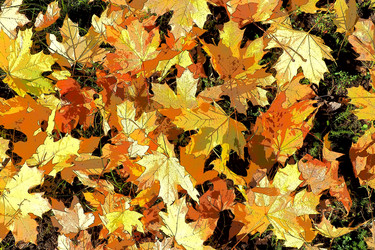 Similar image 21528004