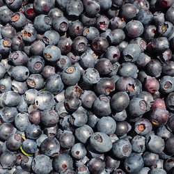 Similar image 21528008