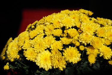 Similar image 21528012