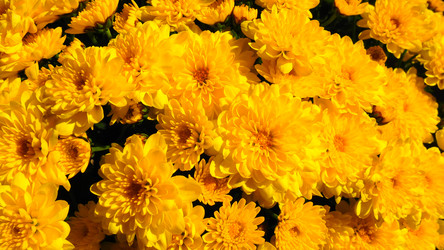 Similar image 21528013