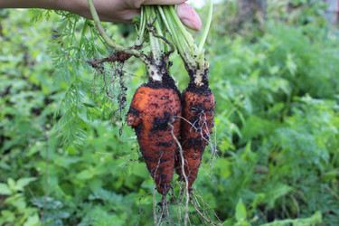 Similar image 21533553