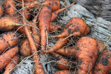 Similar image 21533554