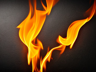 Similar image 21528019