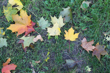 Similar image 21533556